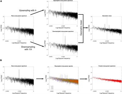 Multiple-Resampling Cross-Spectral Analysis: An Unbiased Tool for Estimating Fractal Connectivity With an Application to Neurophysiological Signals